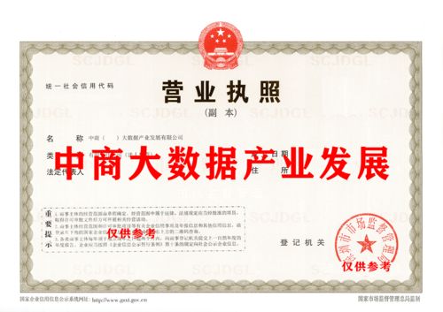 大數(shù)據(jù)產(chǎn)業(yè)公司技術(shù)轉(zhuǎn)讓 機(jī)遇、流程與關(guān)鍵考量