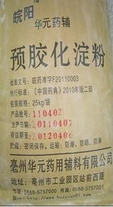 攜手創新，共創未來 預膠化淀粉及制藥技術全方位合作新機遇